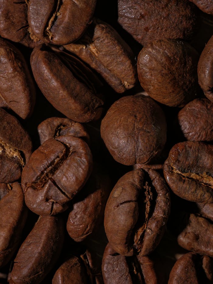 services-02 Detailed macro shot of roasted coffee beans showing rich textures and earthy tones.